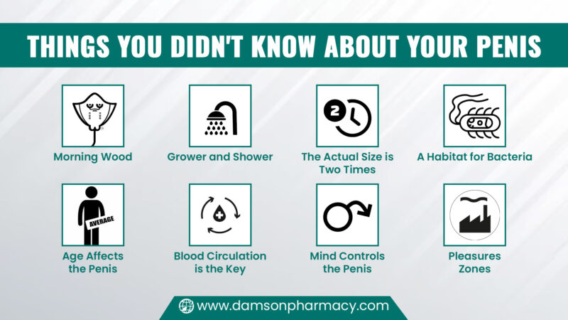 4. Things You Didn't Know About Your Penis